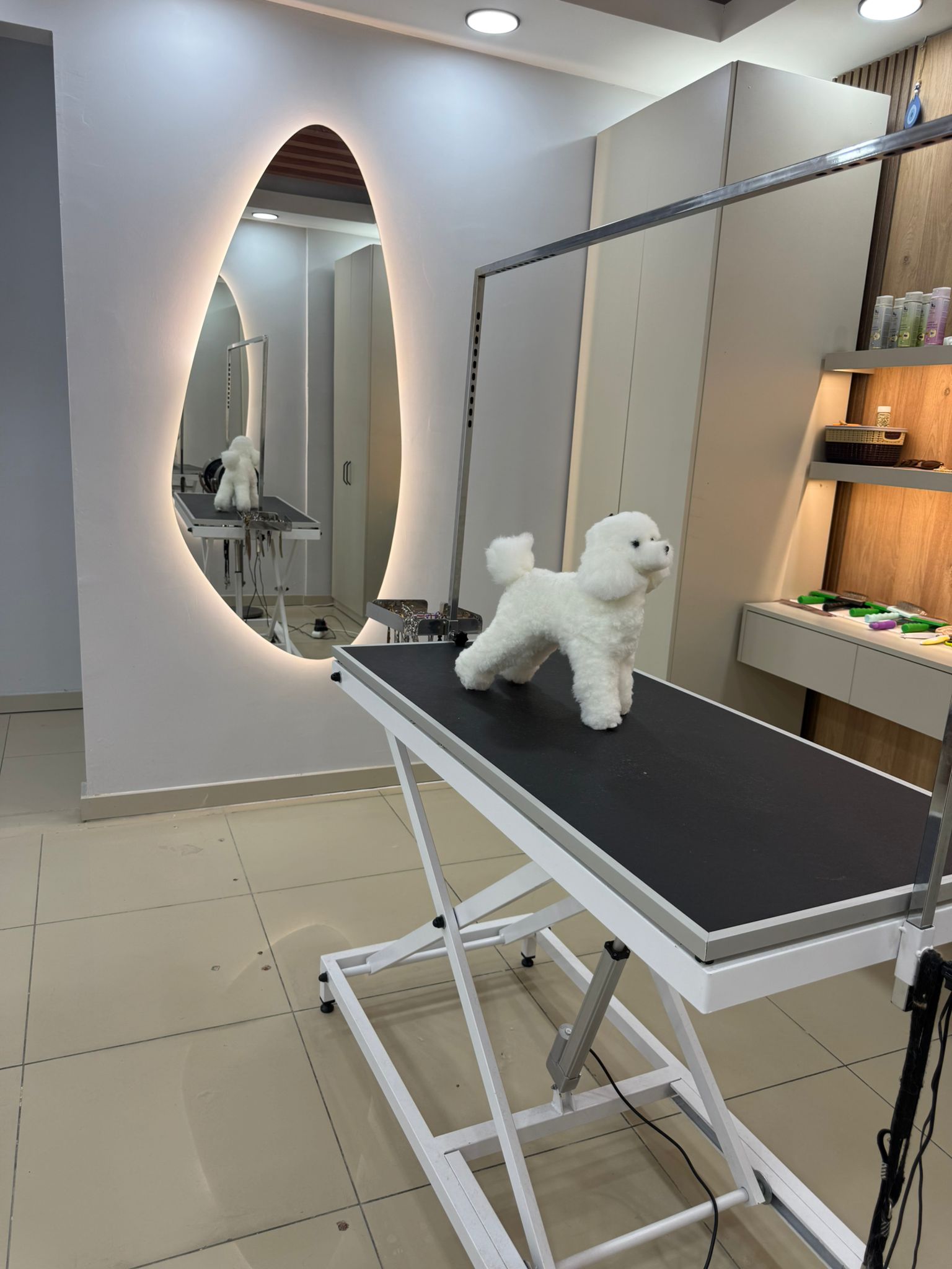 Pet Bakımı